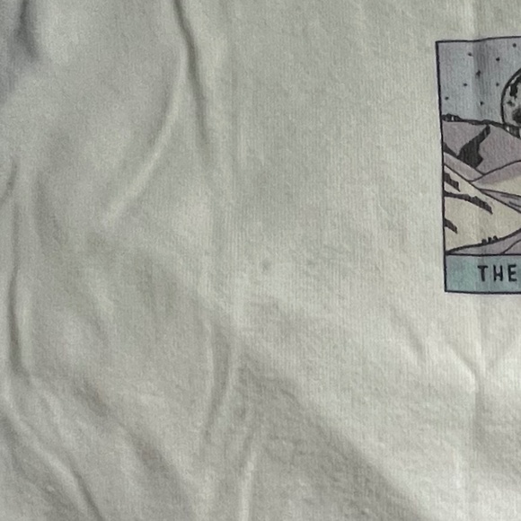 Set of 2 Vinyl Icons Graphic Crop Tees - JUNIORS Medium - Picture 8 of 8